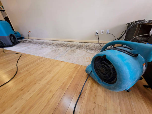 Professional Structural Drying technician working in Glenwood, MD